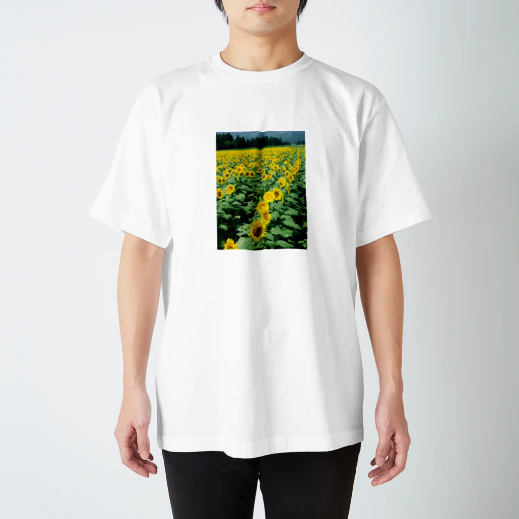 SIKIORIORIのsunflower スタンダードTシャツ