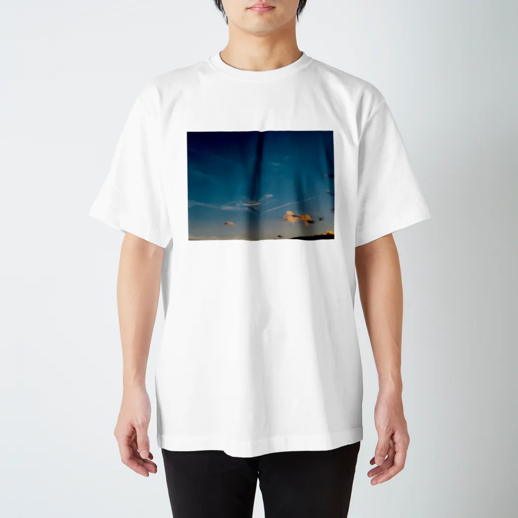 お風呂の夕焼け空1 スタンダードTシャツ