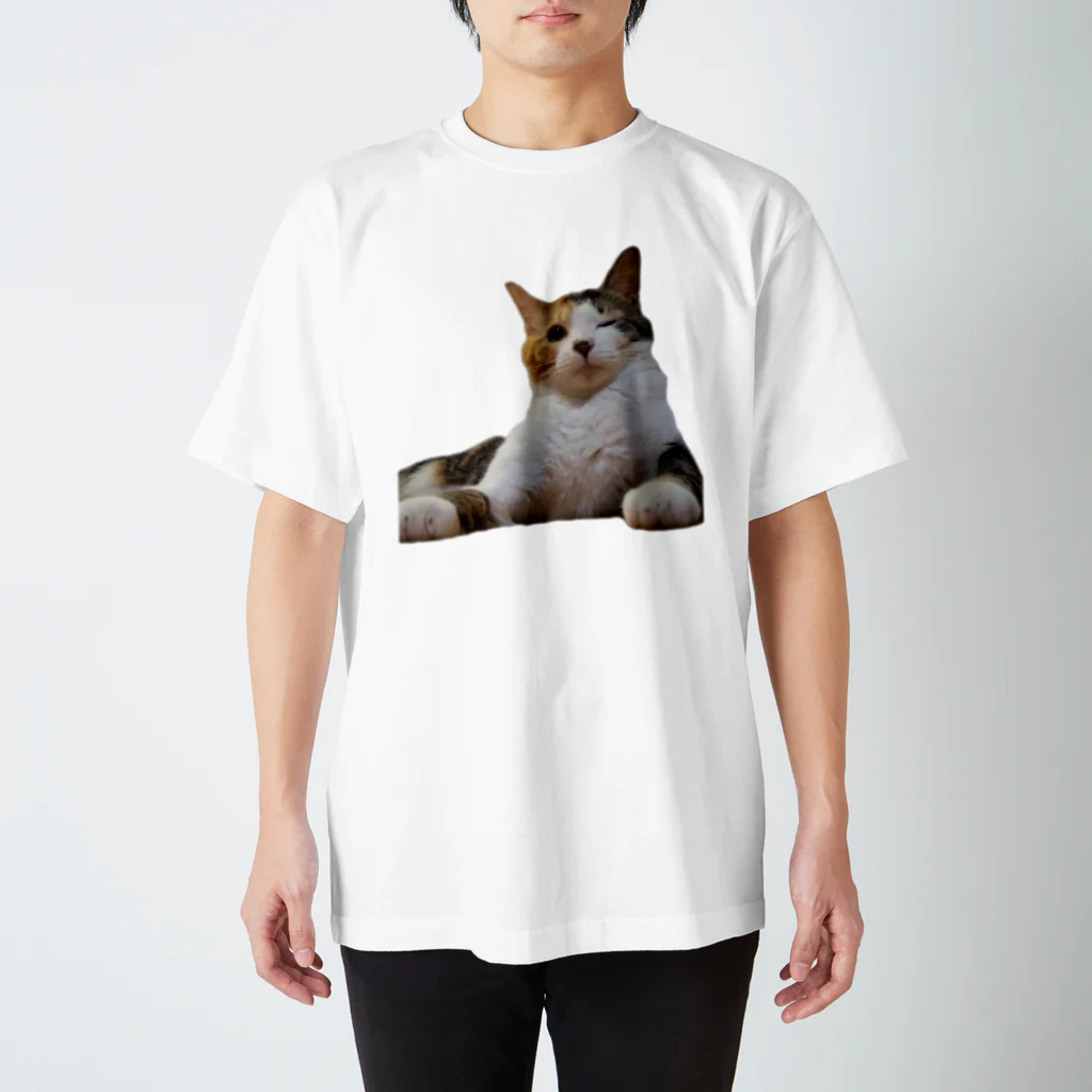 佐内 陽斗のねこのネネちゃん Regular Fit T-Shirt