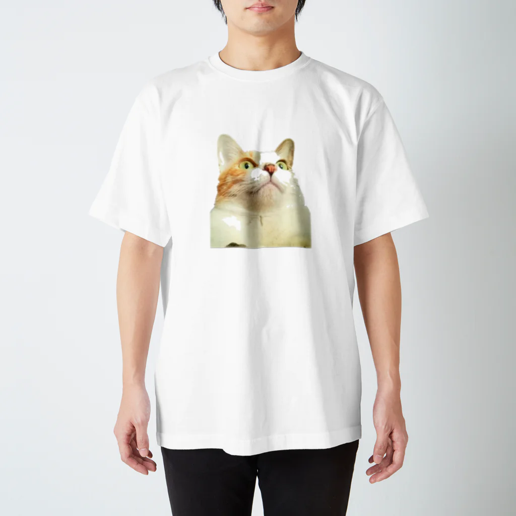 佐内 陽斗の猫のネネちゃん スタンダードTシャツ