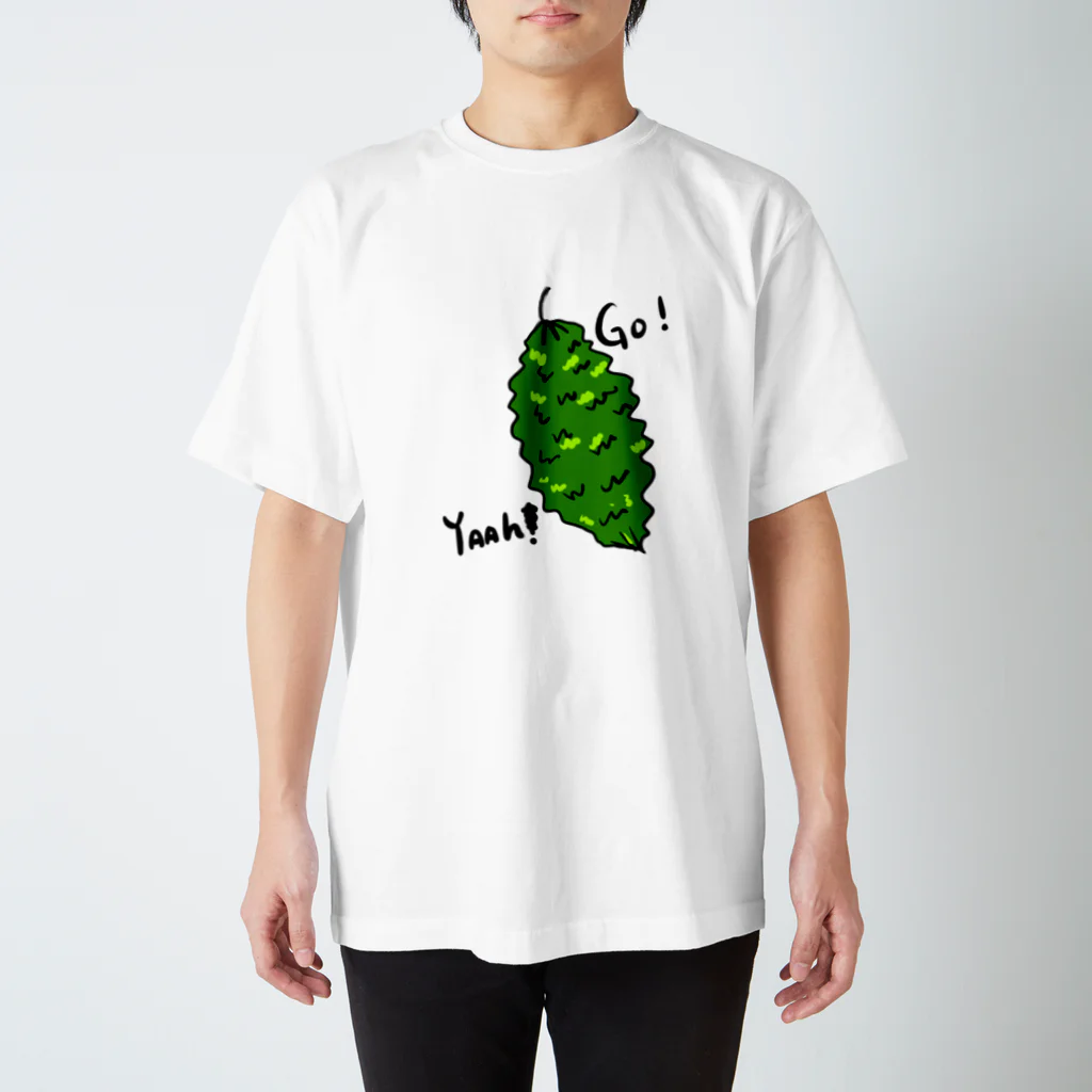 うさぎとみえの我が家の野菜シリーズ　ゴーヤー スタンダードTシャツ