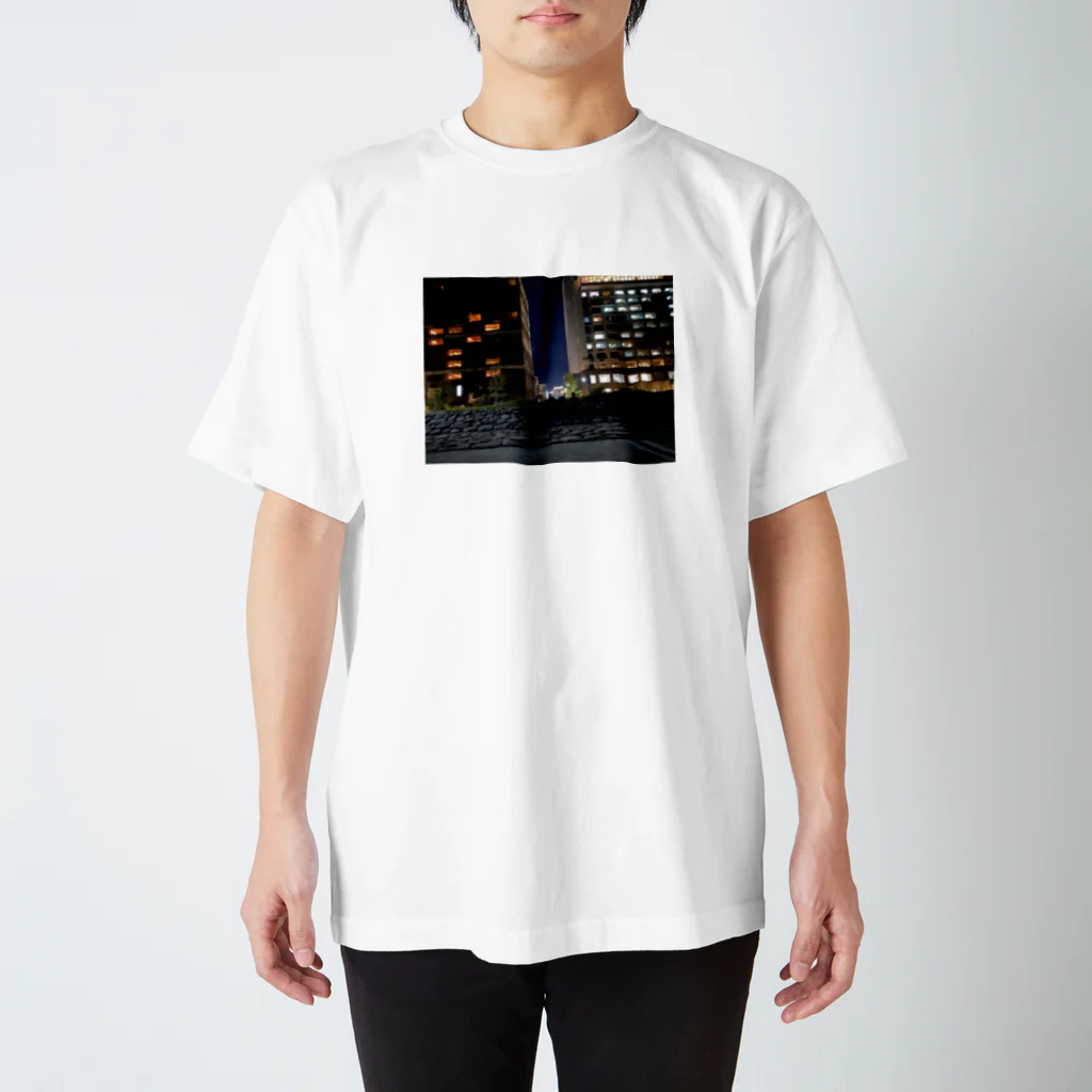 りゅうせいのしりうは Regular Fit T-Shirt