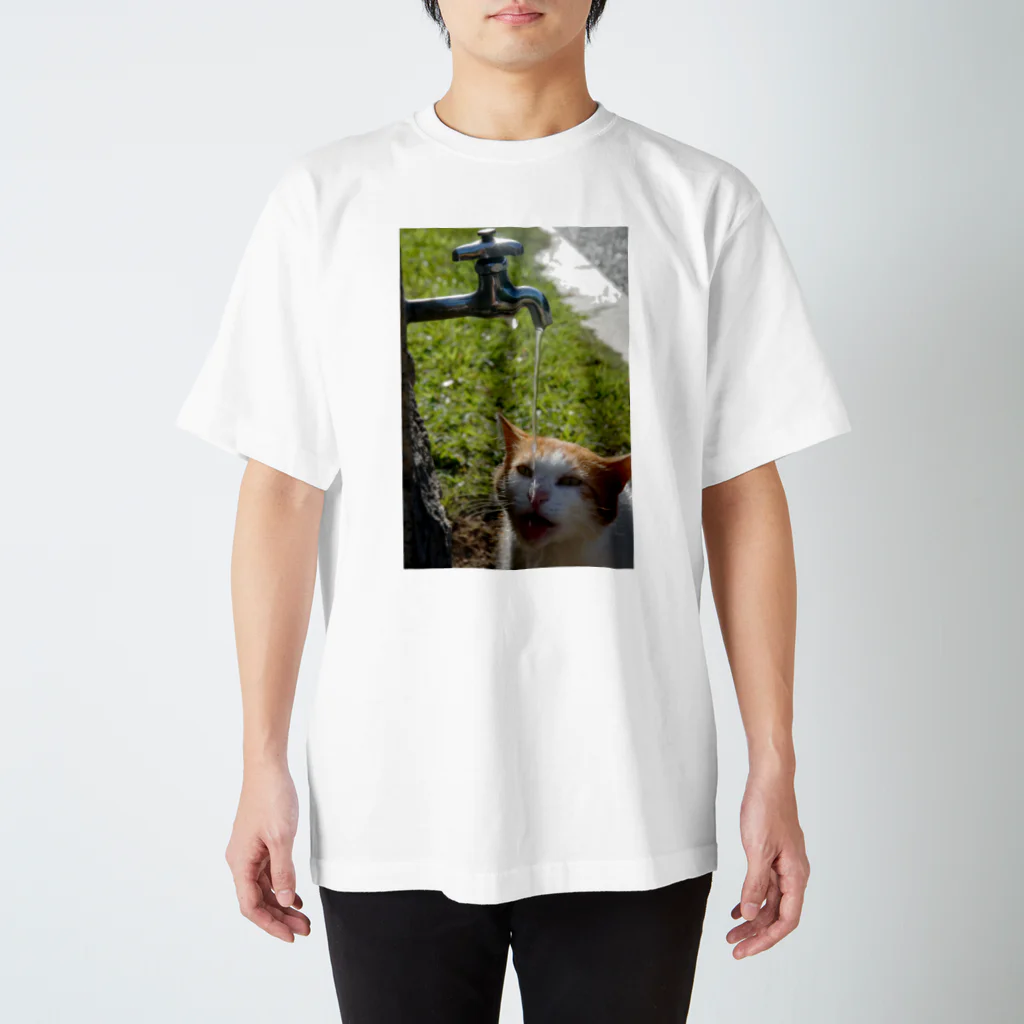 シッポ追いの猫写真店の命の水 スタンダードTシャツ