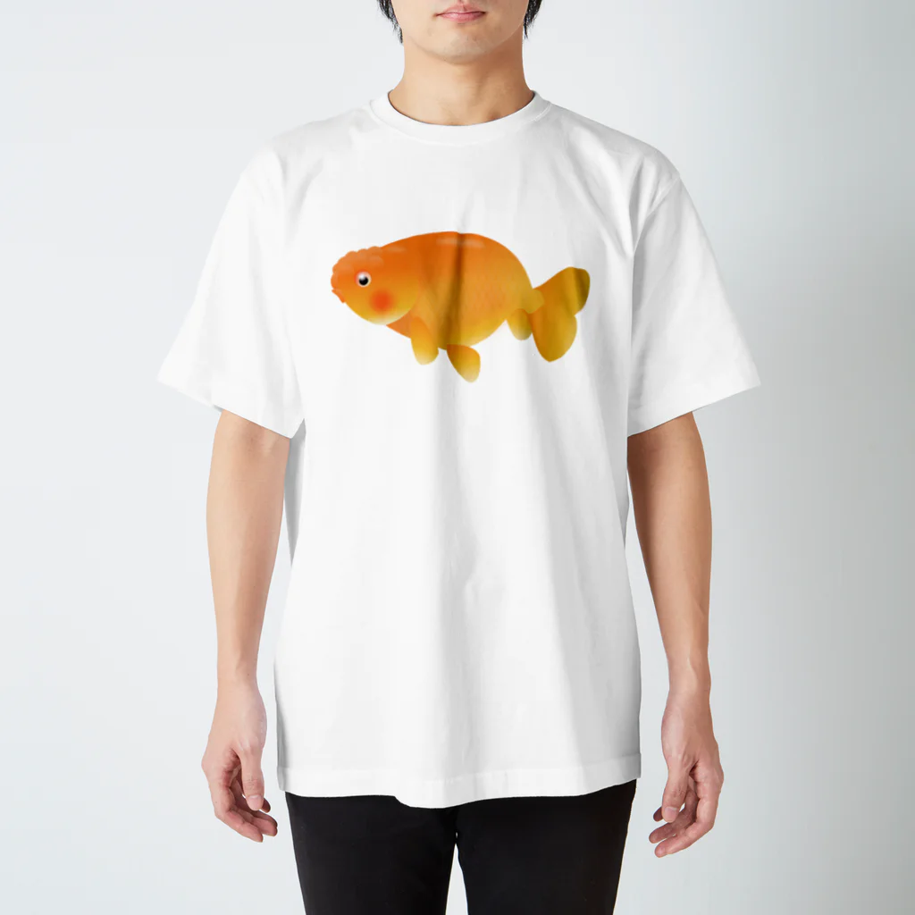 金魚のキンボの金魚 らんちゅう スタンダードTシャツ