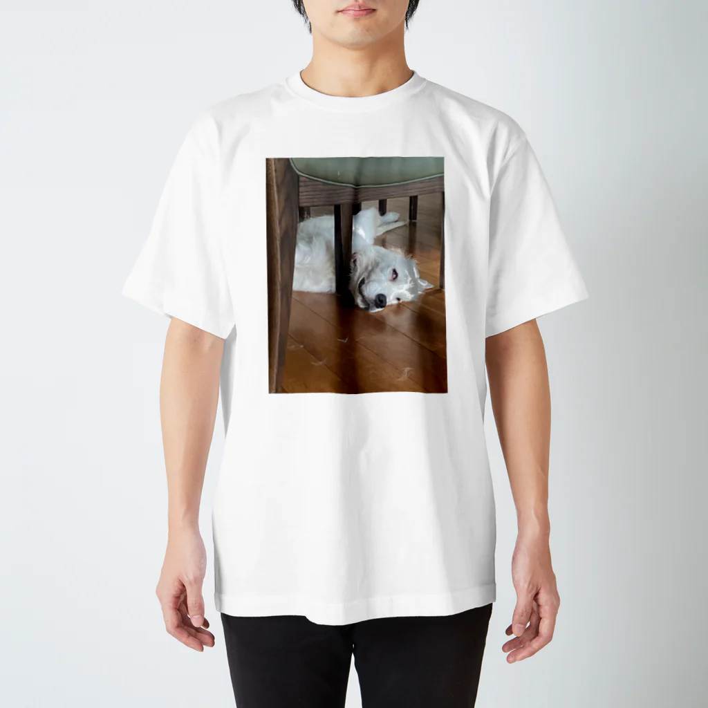 seaの寝顔がひどすぎる子犬 ゴールデンレトリバー Regular Fit T-Shirt