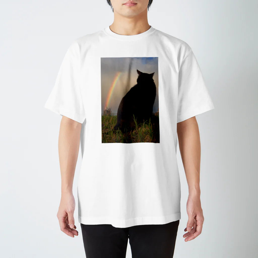 シッポ追いの猫写真店の虹の橋 スタンダードTシャツ