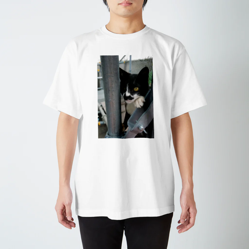 シッポ追いの猫写真店の張り込み スタンダードTシャツ