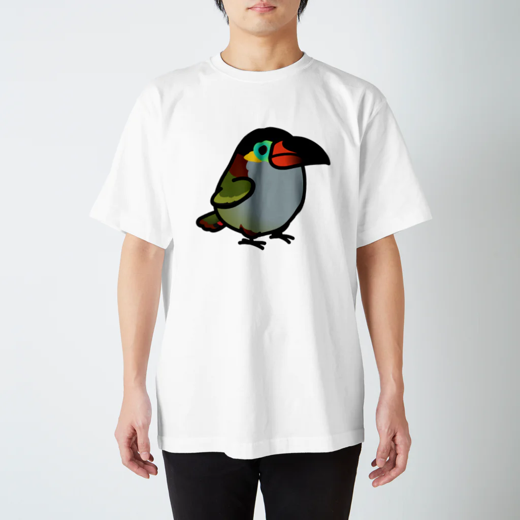 Cody the LovebirdのChubby Bird ニショクコチュウハシ Regular Fit T-Shirt