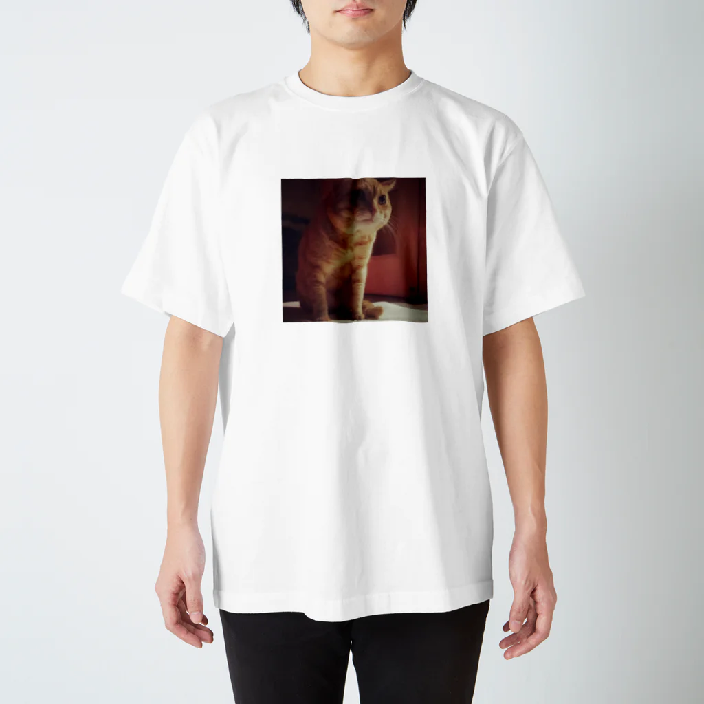 yukinotaneのみっちくん Regular Fit T-Shirt