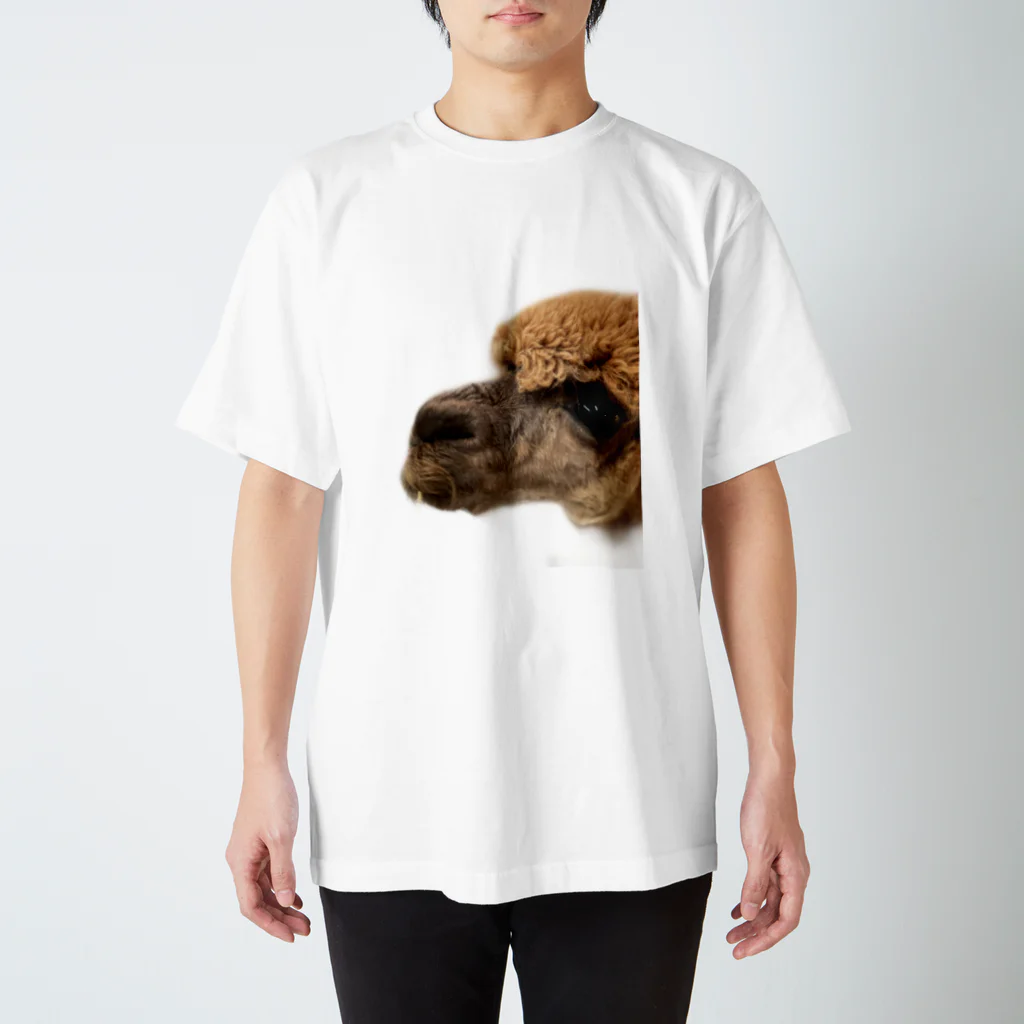 kinorinのアルパカくん Regular Fit T-Shirt