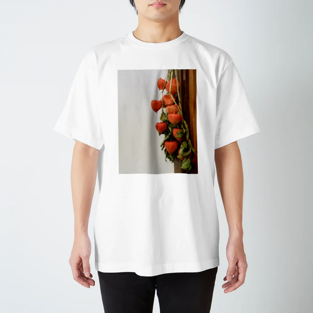 九月の鬼灯 Regular Fit T-Shirt