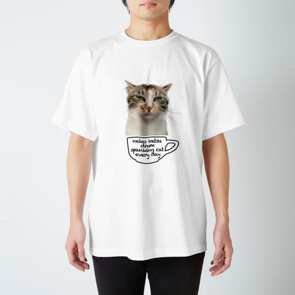 猫ケツドラマーのトオルのケツドラム猫のみなちゃん③ Regular Fit T-Shirt