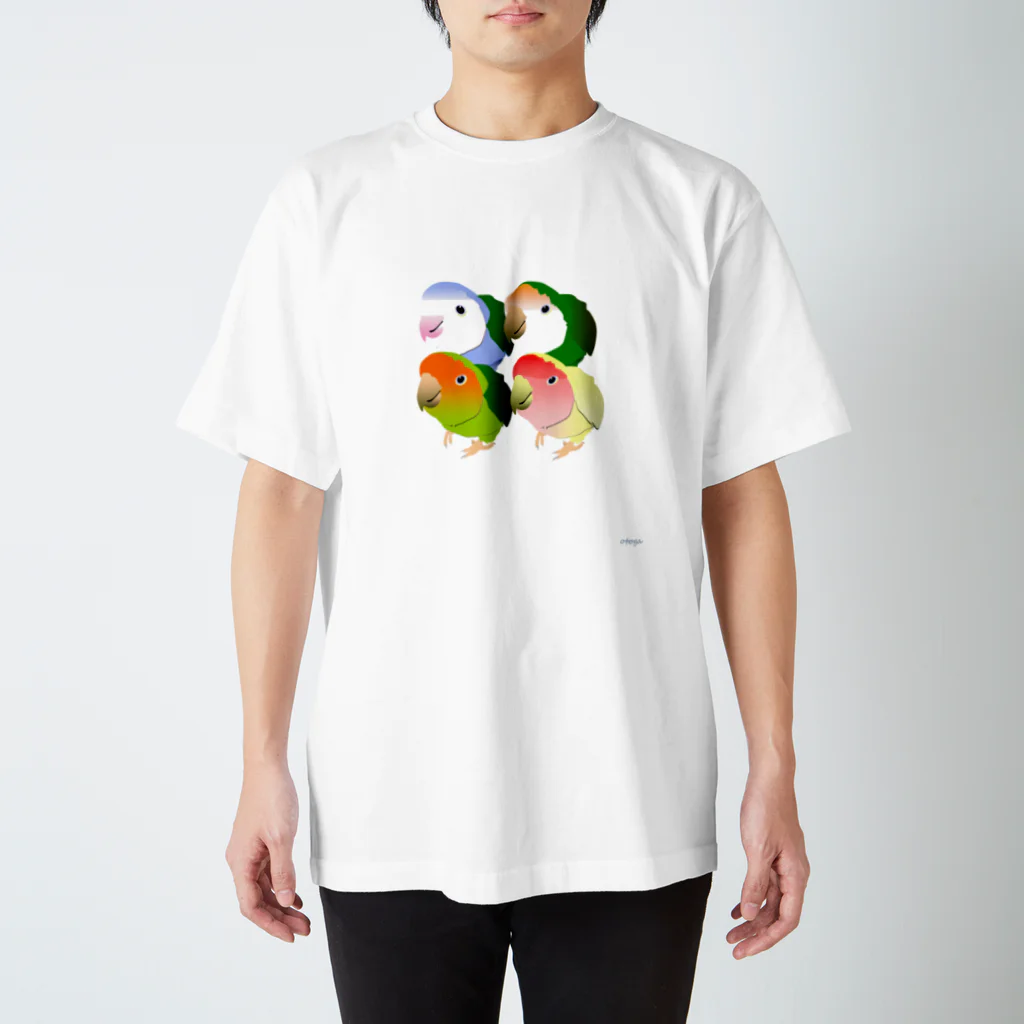 otogaのコザクラインコ4種類 スタンダードTシャツ