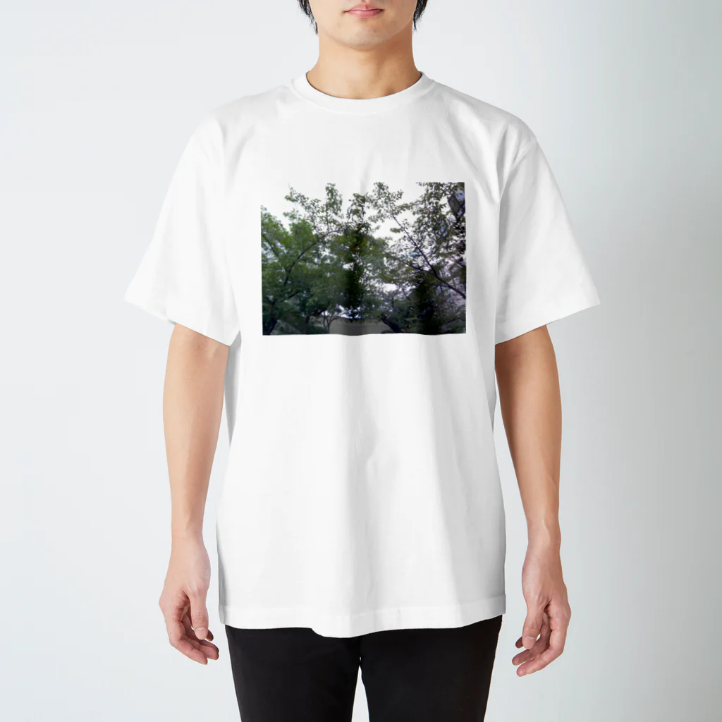korineversの自然 スタンダードTシャツ