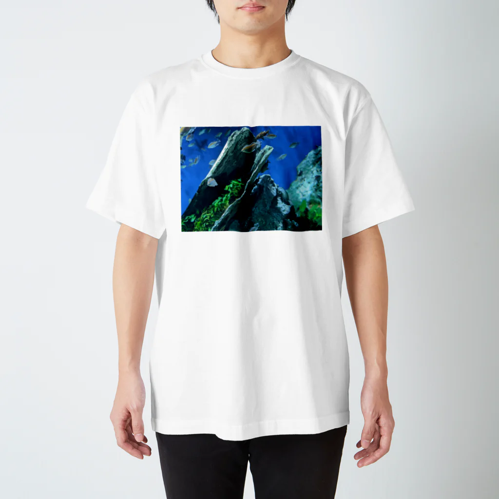 もりそらしょっぷのaquarium スタンダードTシャツ