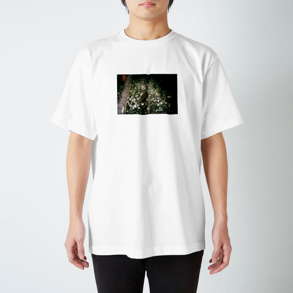 写真を使ったなにかしらの夜ニ咲ク白イ花 スタンダードTシャツ