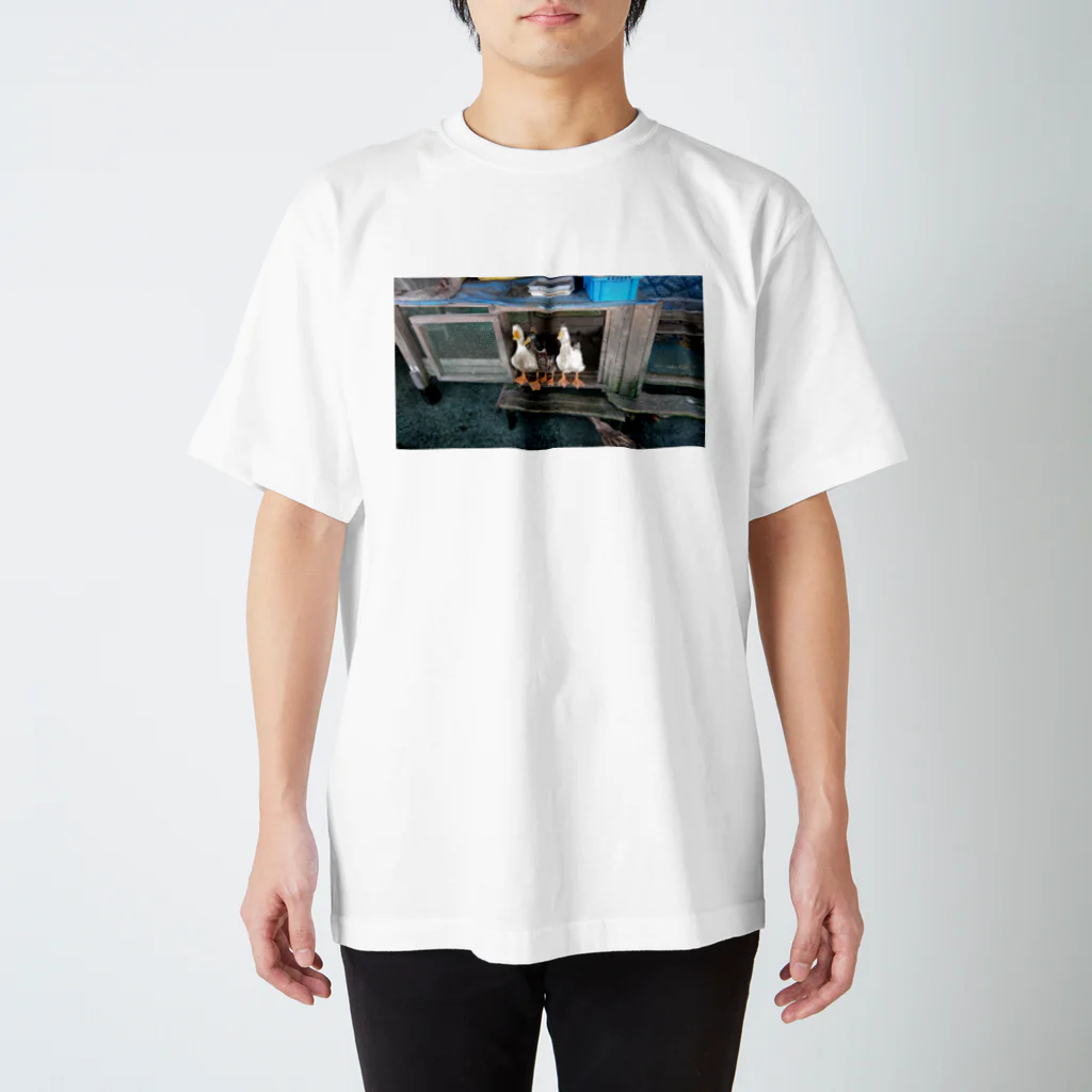 snowindの三兄弟 スタンダードTシャツ