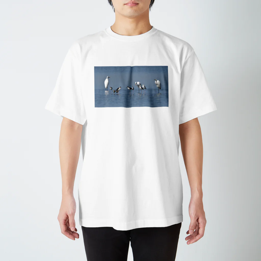 物理学系おじさん しゅんちゃんのみずべのとり Regular Fit T-Shirt