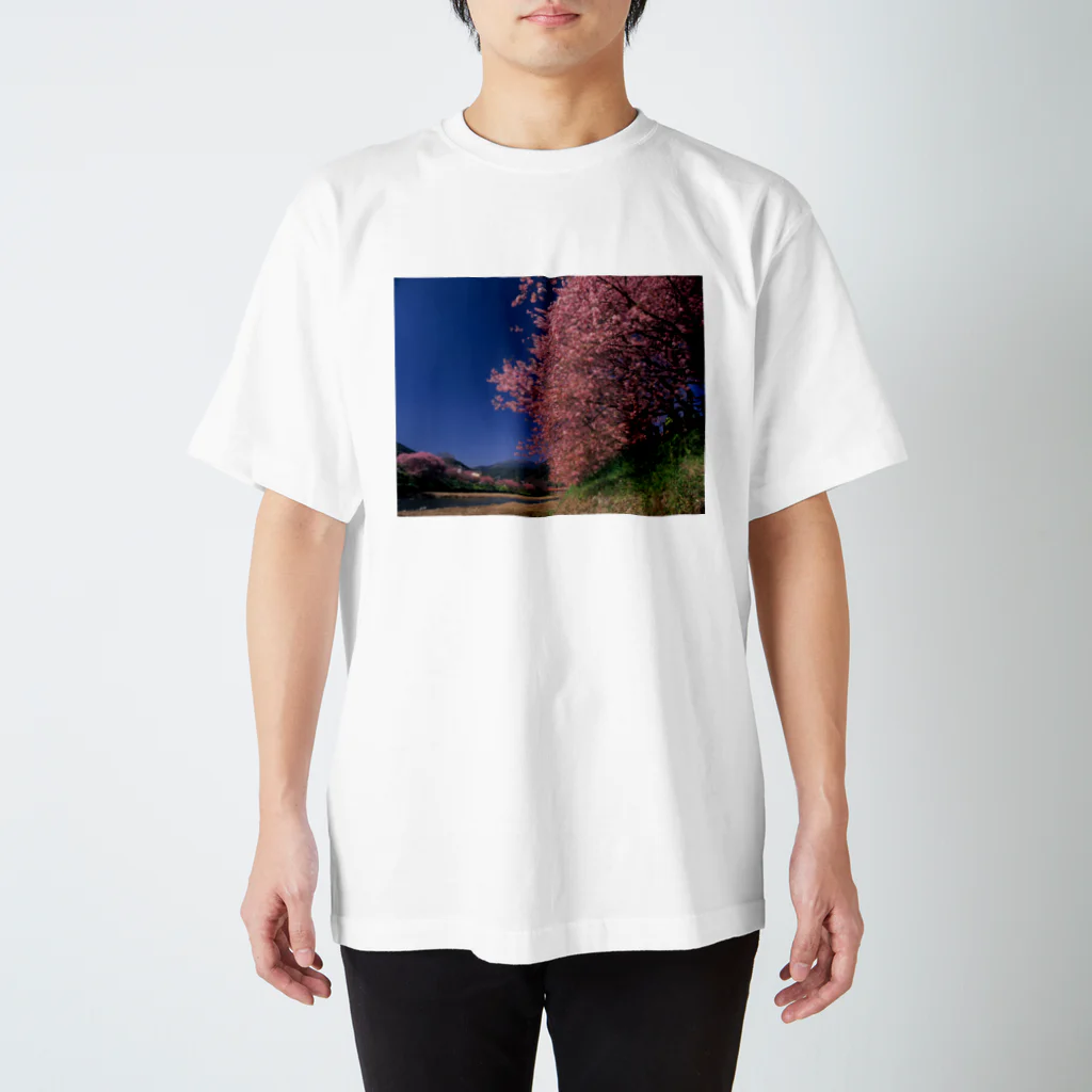 landscapeの早咲きの桜 スタンダードTシャツ