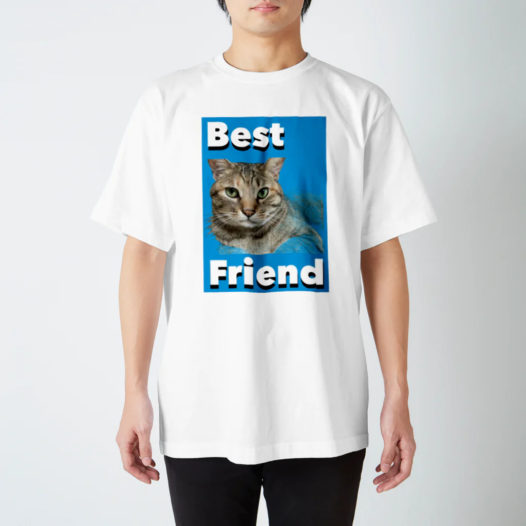 保護猫Dotcham City のBest Friend  スタンダードTシャツ