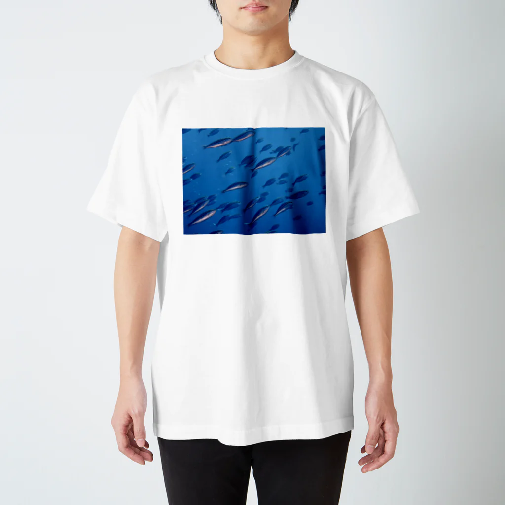 おさかなショップのイサキ スタンダードTシャツ