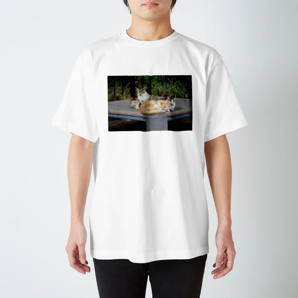 おさかなショップのネコ Regular Fit T-Shirt