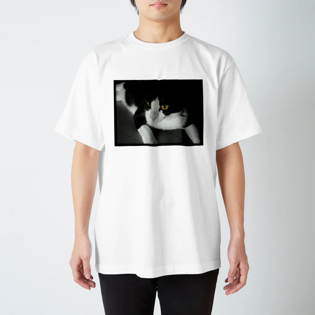 Turtle-tのCat_B スタンダードTシャツ