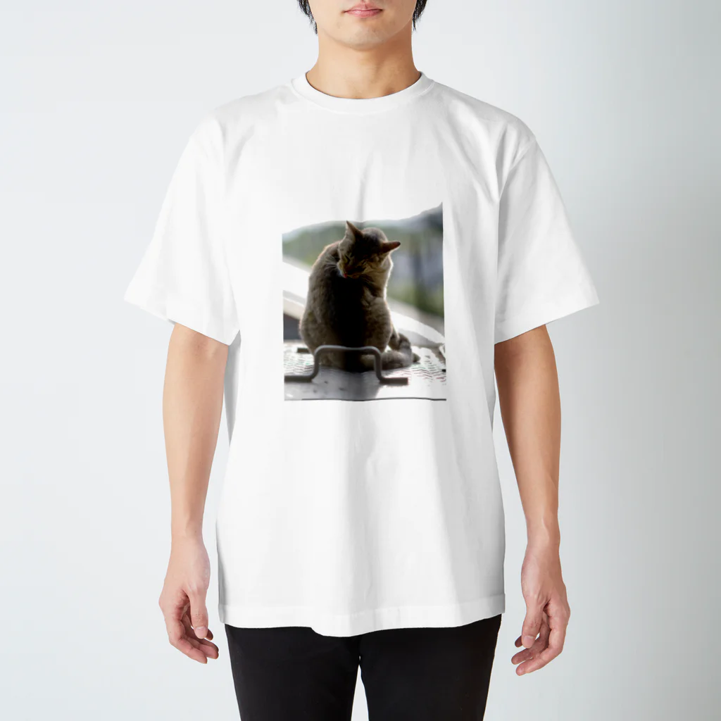 ハリネズミのけづくろいねこ スタンダードTシャツ