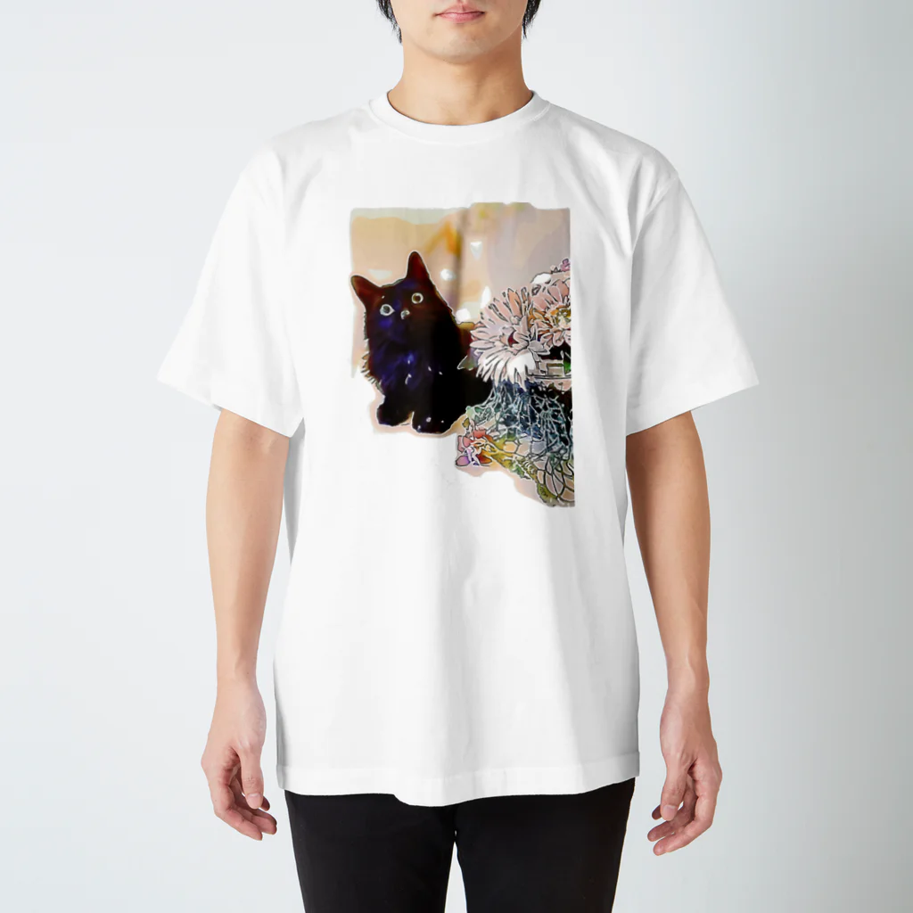 スケキヨ🐾の黒猫ジジくん　シリーズ2 スタンダードTシャツ