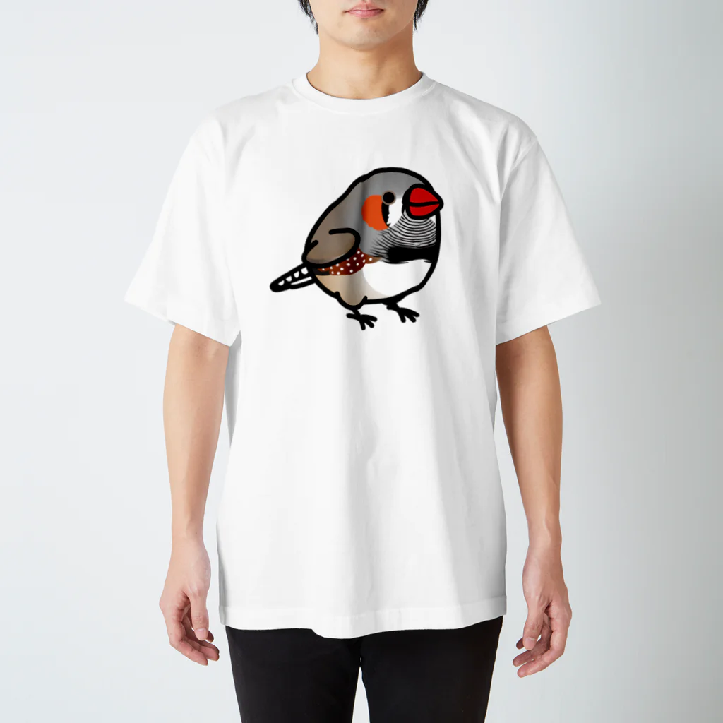 Cody the LovebirdのChubby Bird キンカチョウ スタンダードTシャツ