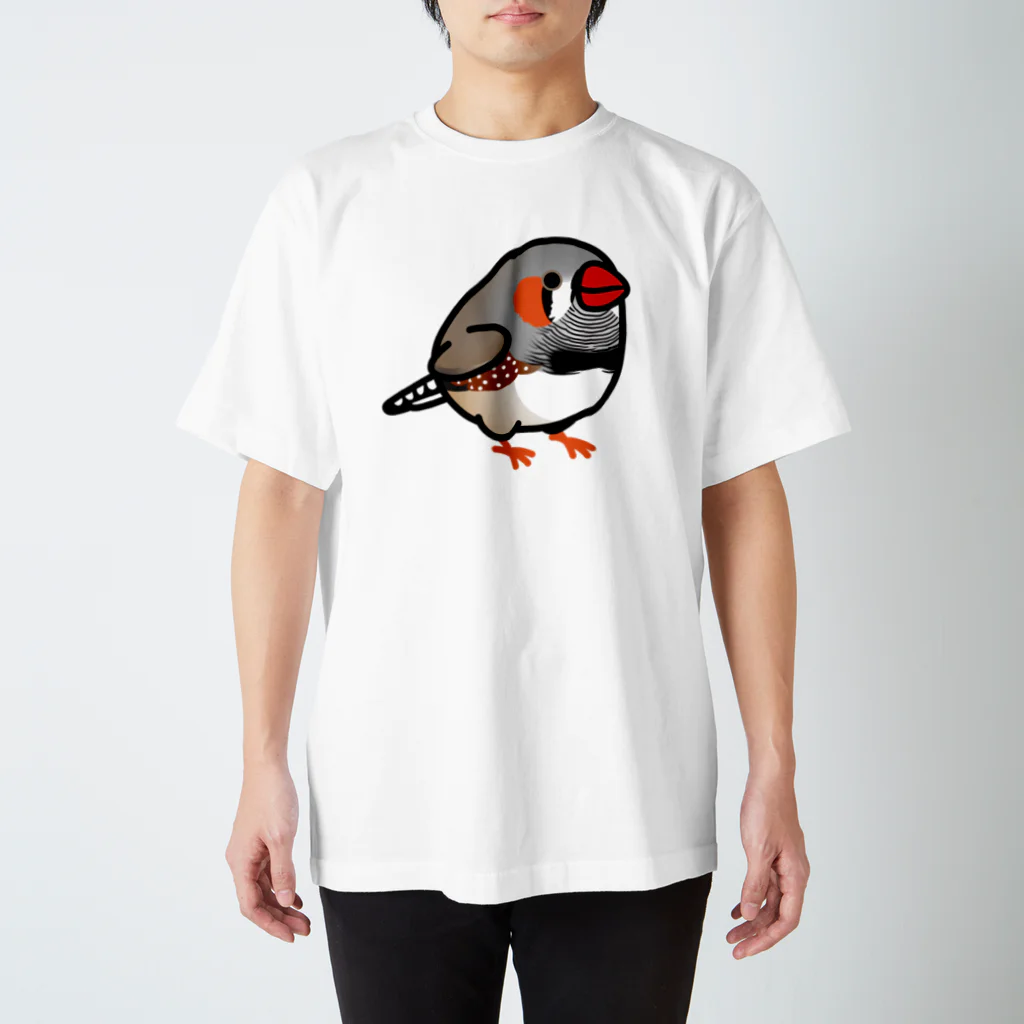 Cody the LovebirdのChubby Bird キンカチョウ Regular Fit T-Shirt