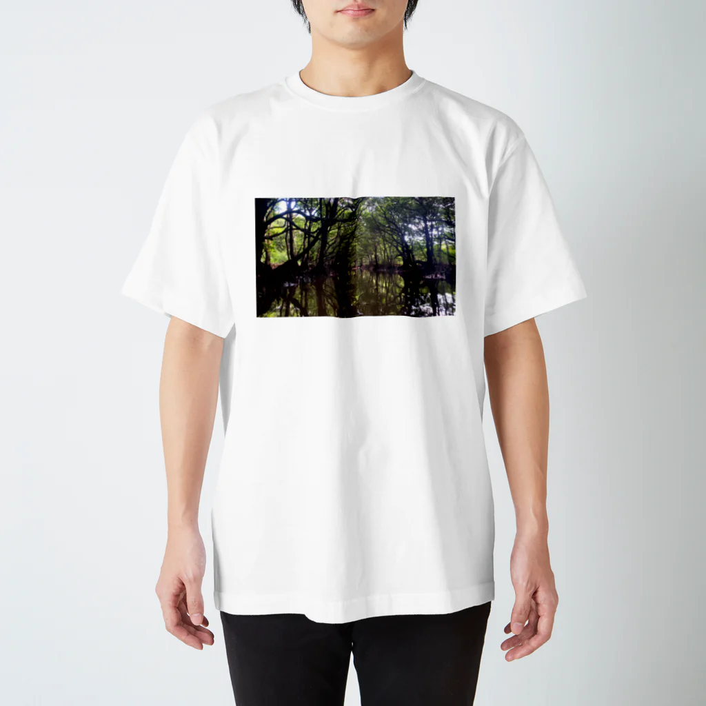 ヘイシデザインの旅するTシャツシ41 Regular Fit T-Shirt