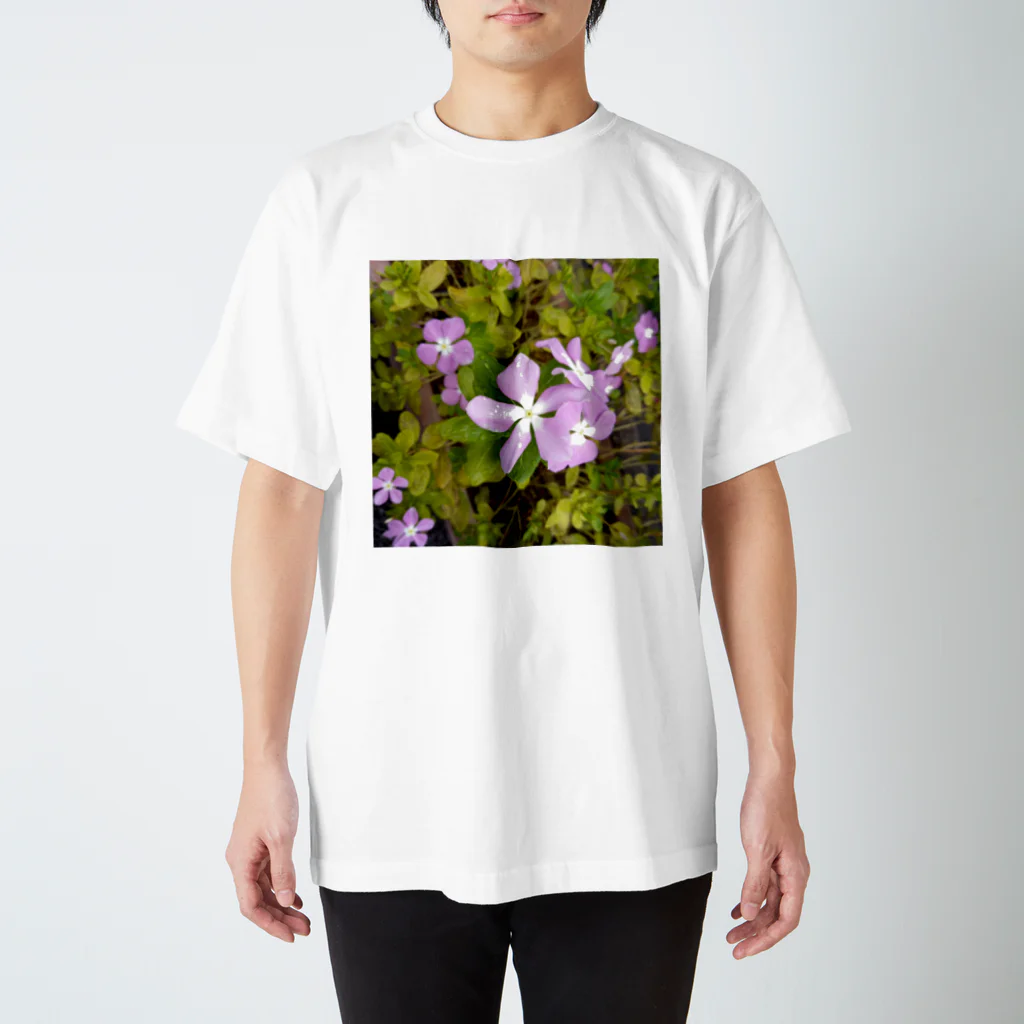 藤色の書斎のピンクお花🌸 スタンダードTシャツ