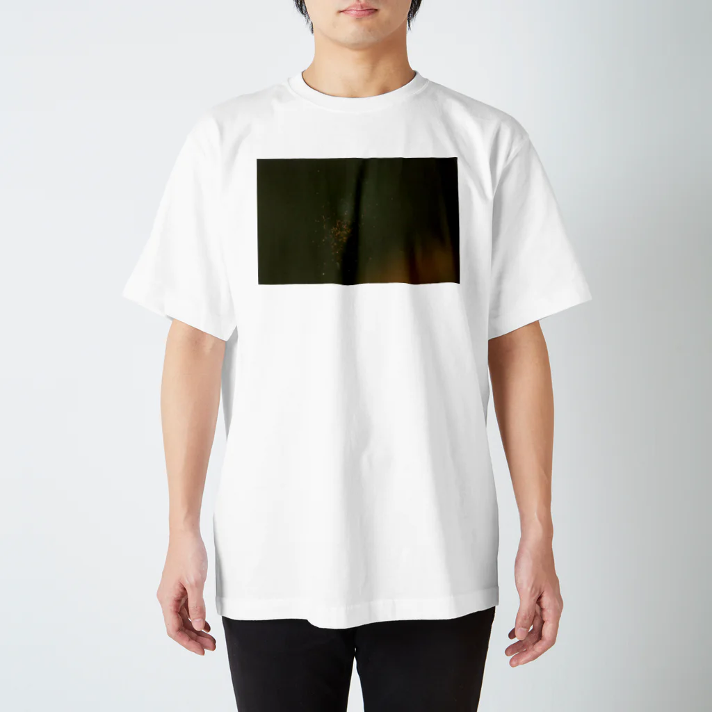 naruhodoのfilm80 Regular Fit T-Shirt