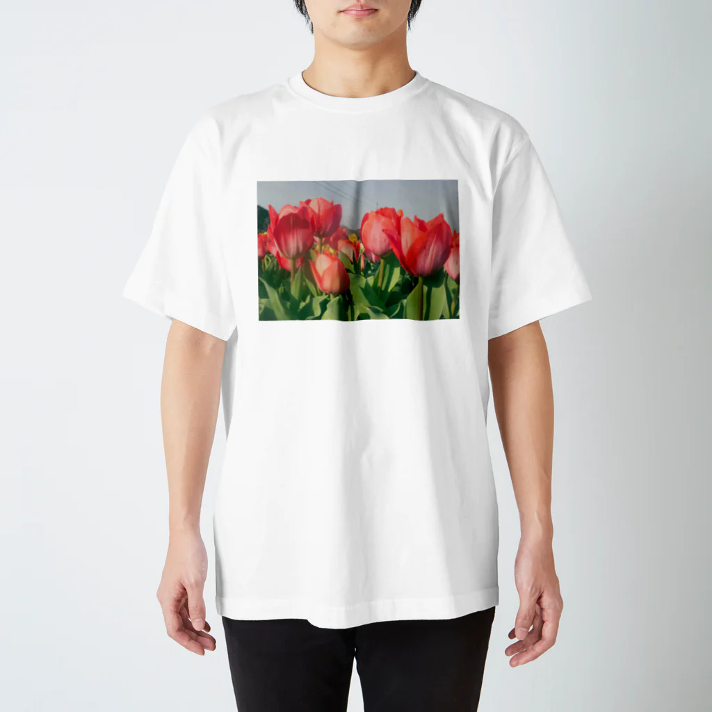 devilearのオハナ Regular Fit T-Shirt