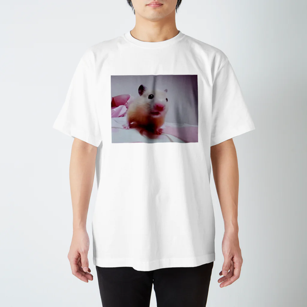 う  さ  ぎのkinkuma... Regular Fit T-Shirt