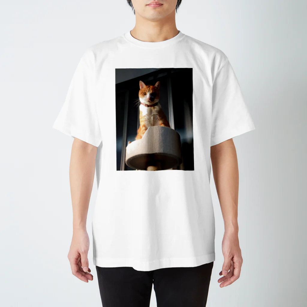 KAIの夕焼け猫 Regular Fit T-Shirt