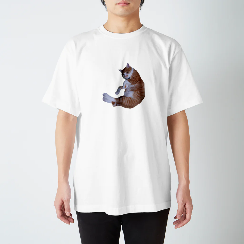 KAIの三日月猫 スタンダードTシャツ