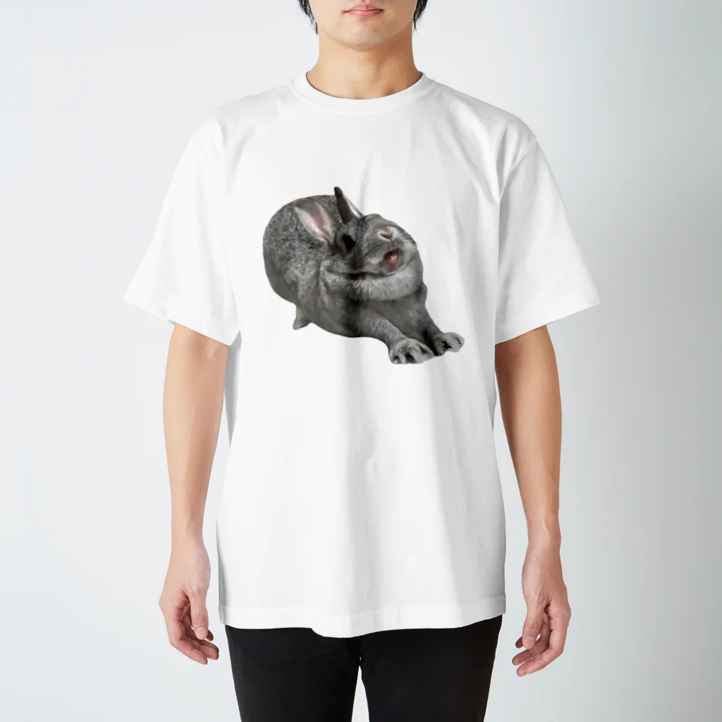 いきもの大好き！ほほえみフレンズのウサギさんの豪快な伸び Regular Fit T-Shirt