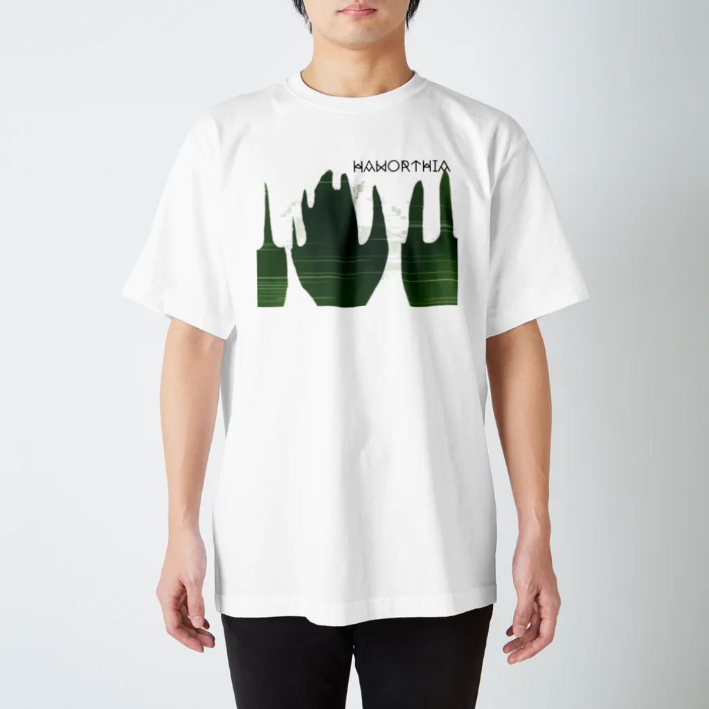 パキポキさんのHaworthia スタンダードTシャツ