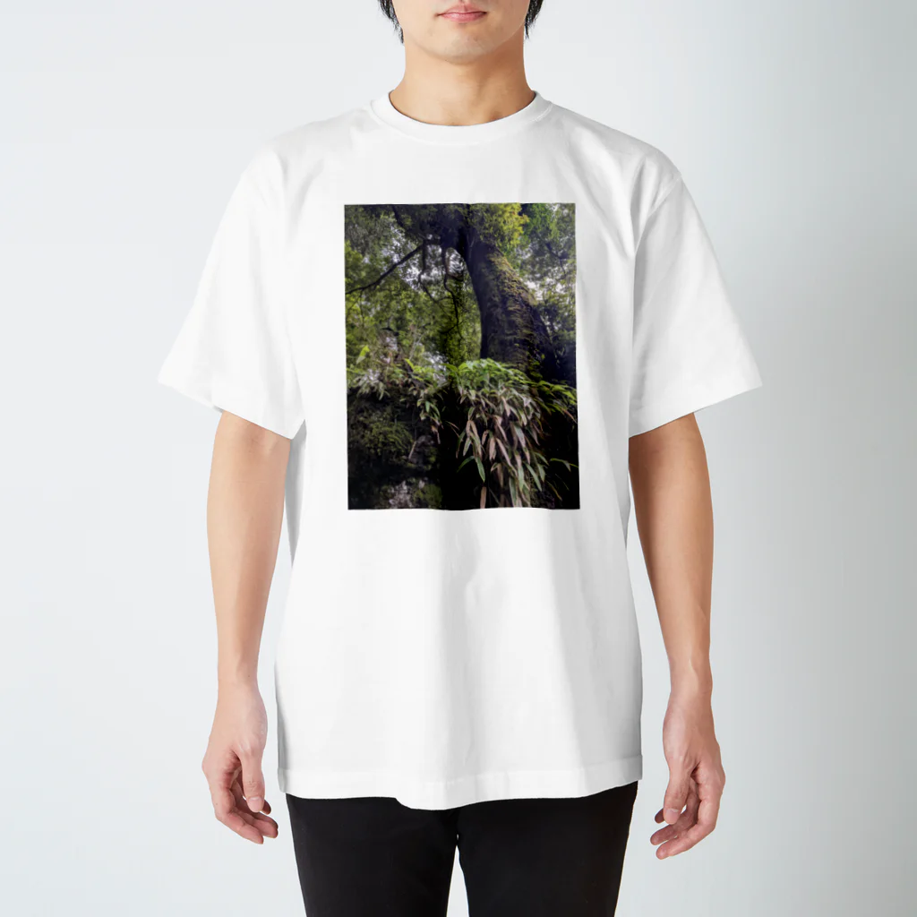 tororo-2の夏森 スタンダードTシャツ