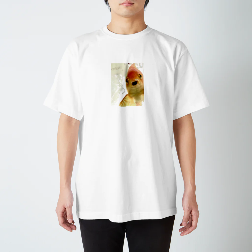 アヒル屋のぽけ〜っと金魚くん スタンダードTシャツ