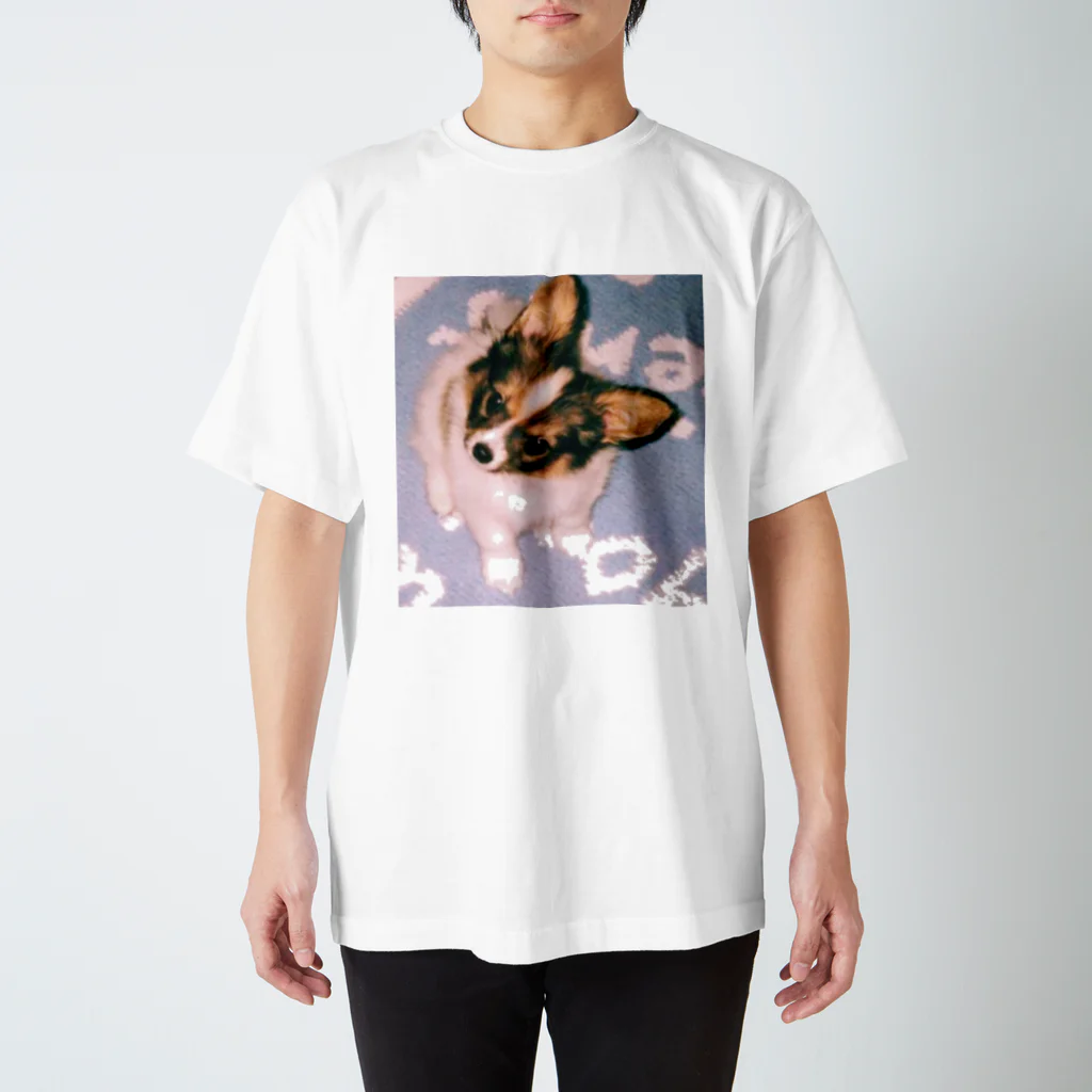 Maple_mam-Kのパピヨン犬 Maple スタンダードTシャツ