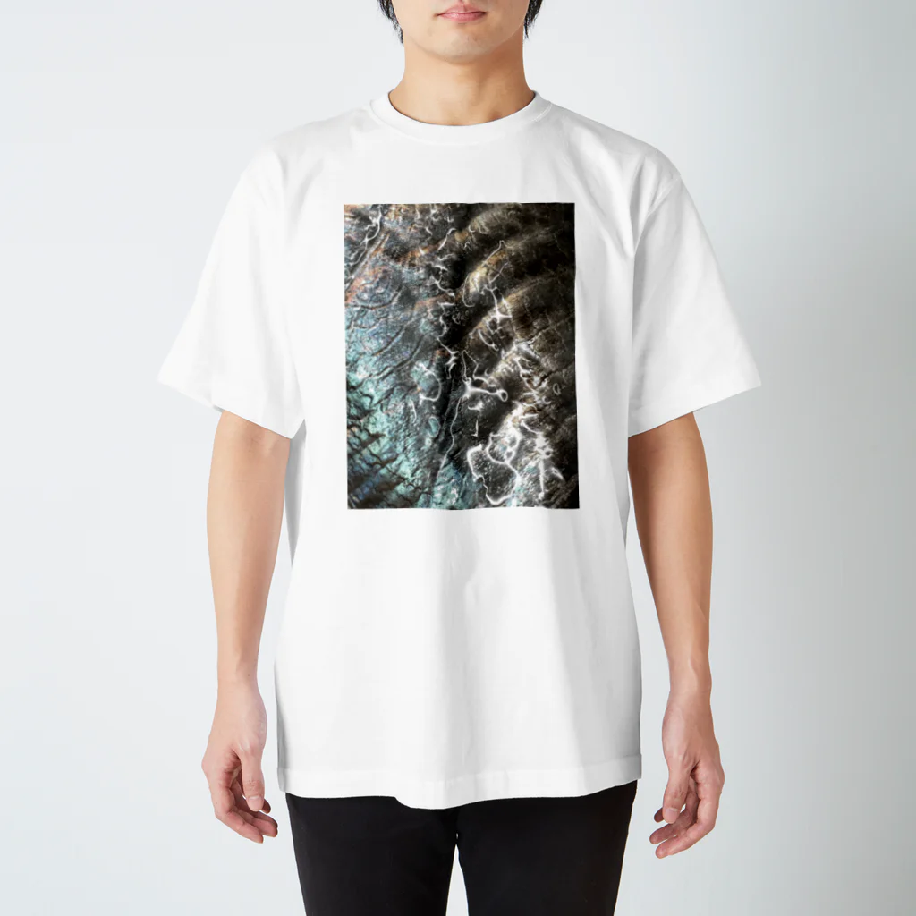 ウオヒレウロ子のエボダイ子供顔&ウオ肌 Regular Fit T-Shirt