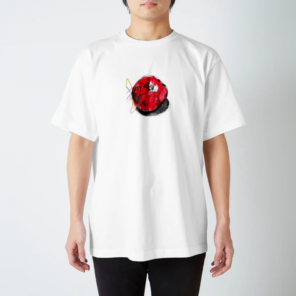 shop_newton_isaacのapple5 スタンダードTシャツ