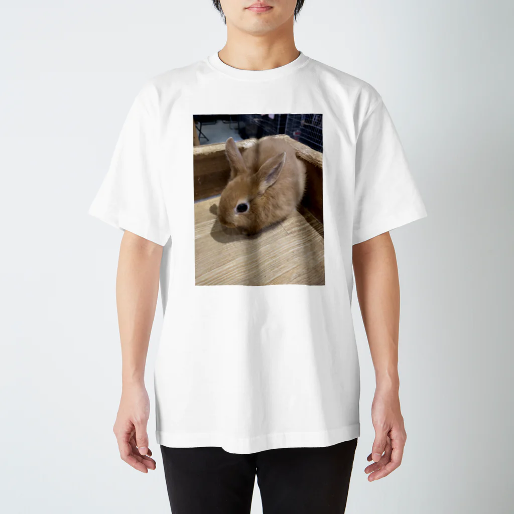 お花屋のうさちゃん Regular Fit T-Shirt