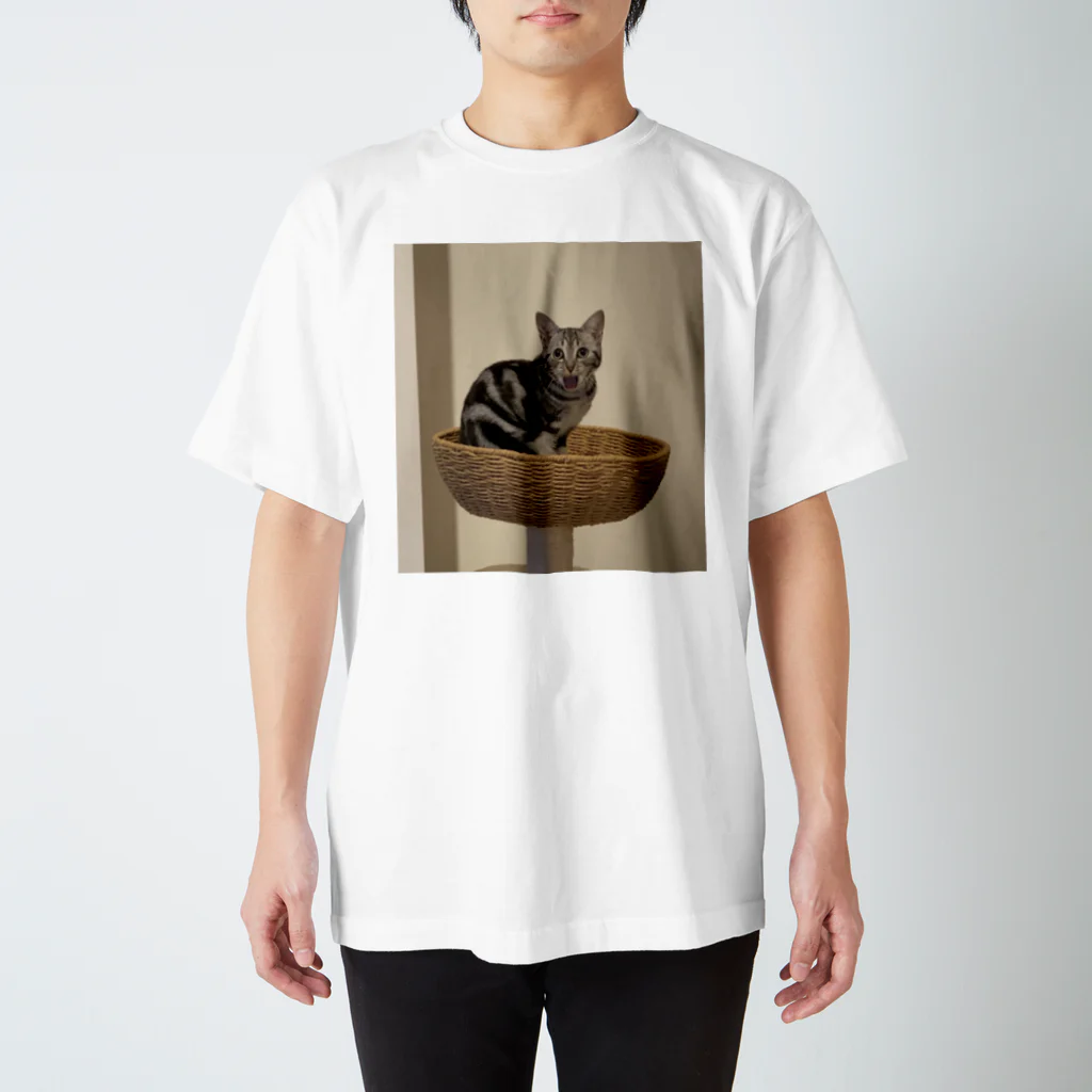 かかしたまごの猫アイーン Regular Fit T-Shirt