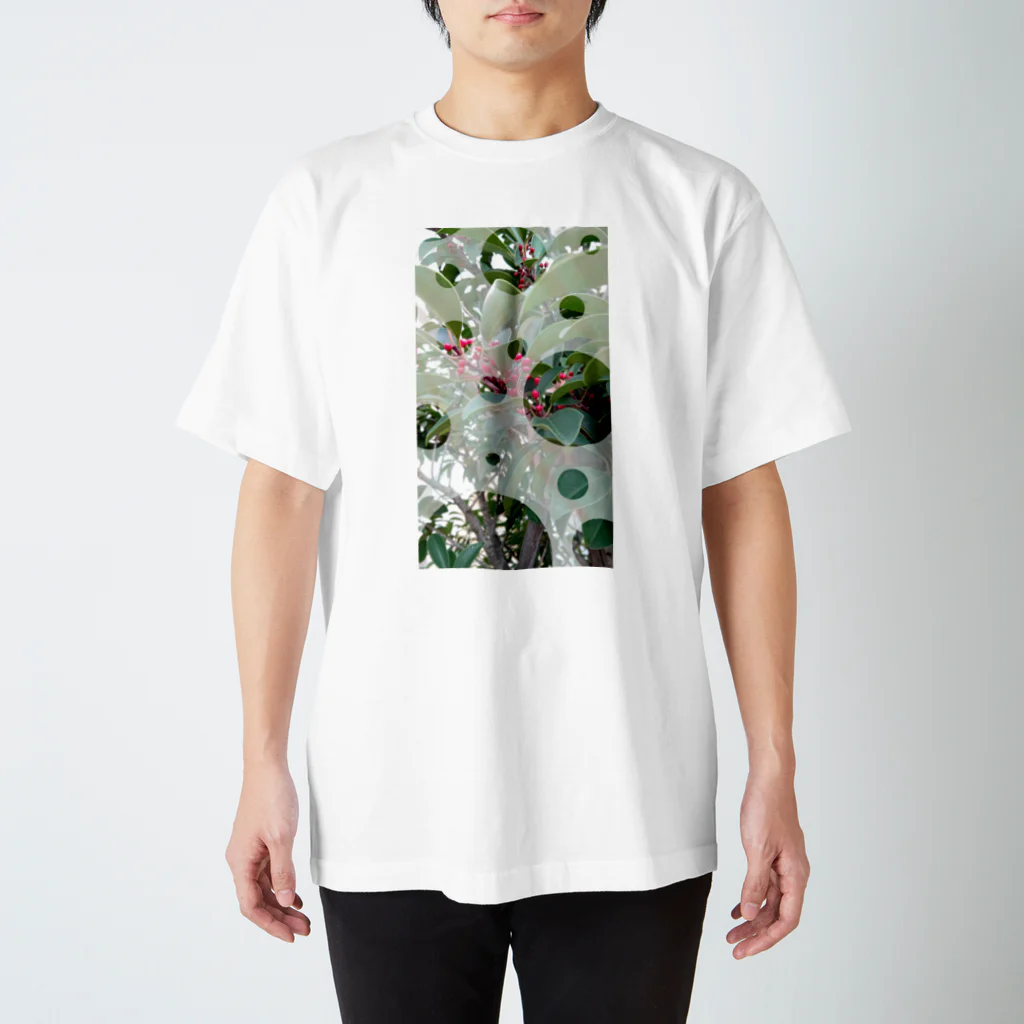 Lily bird（リリーバード）のピラカンサス？photo 縦長 スタンダードTシャツ