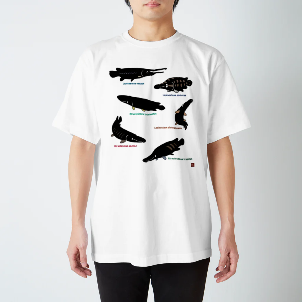 幻想水系branch　byいずもり・ようのSILHOUETTE AQUARIUM 02 スタンダードTシャツ