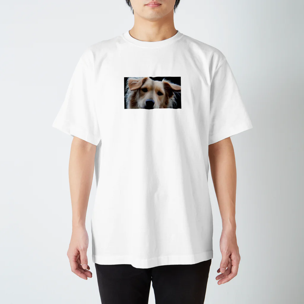 山犬ギフトの見張るボリーノ Regular Fit T-Shirt